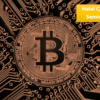 Frequently Asked Questions About Halal Crypto Seminars