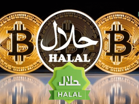 Comprehensive Directory of Halal Crypto Service Providers