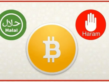 Halal Crypto Academic Studies: Findings and Implications